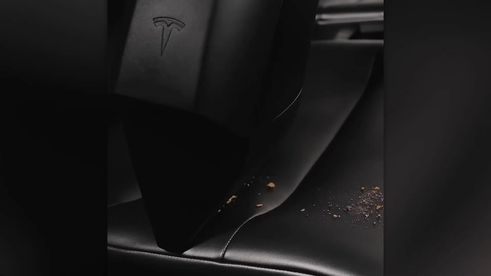 רובוט הניקוי של טסלה