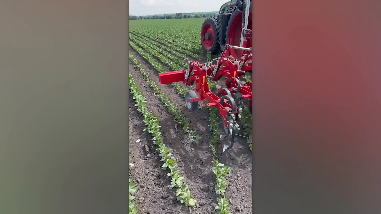 מכונת עיבוד קרקע בשדה