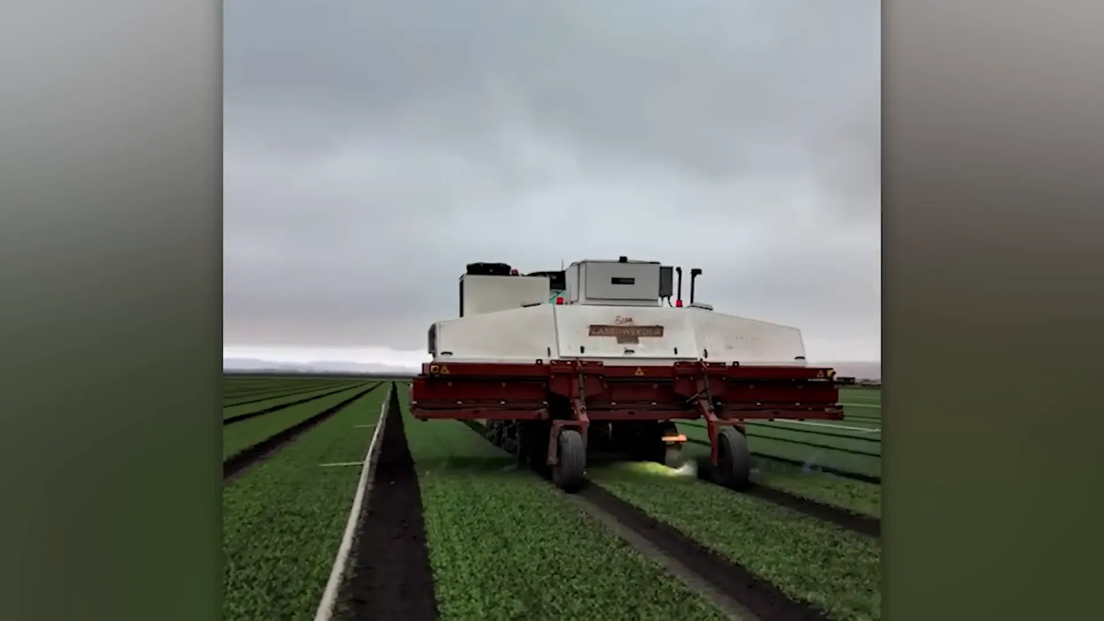 מכונה להשמדת עשבים בלייזר