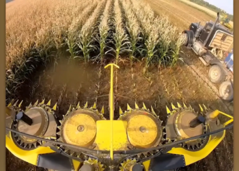 9629720e 31fb 4544 9288 955756f12093