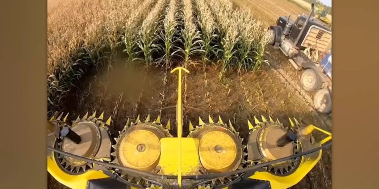 9629720e 31fb 4544 9288 955756f12093