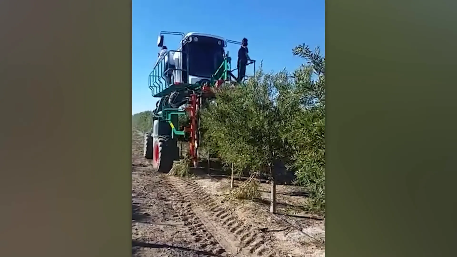 טרקטור בלתי מאויש בשדה